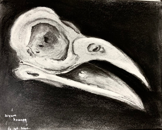bird cry